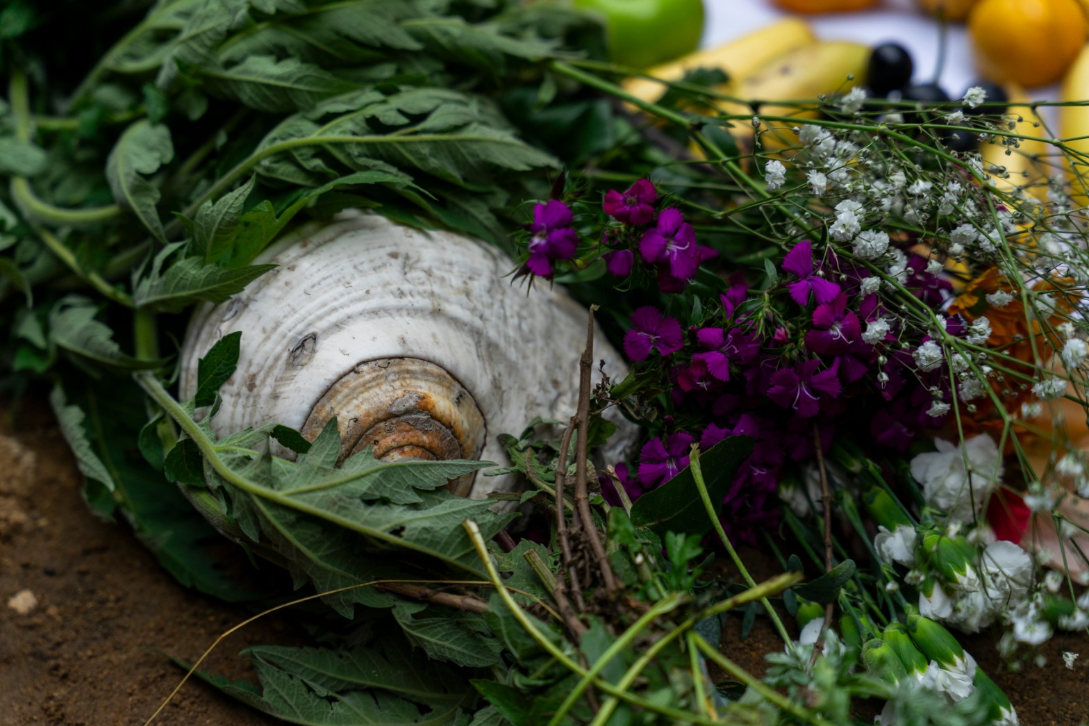La partería ancestral y la&nbsp;chakra.